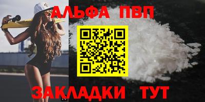 твердый Кингисепп