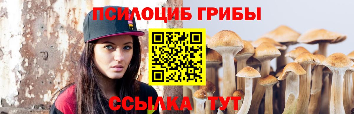 Галлюциногенные грибы Psilocybine cubensis Касимов